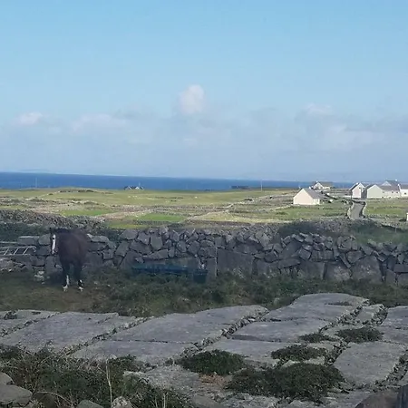 Aran Walkers Отель типа 